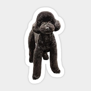 Toy Poodle Gorgeous Mini Dog Sticker